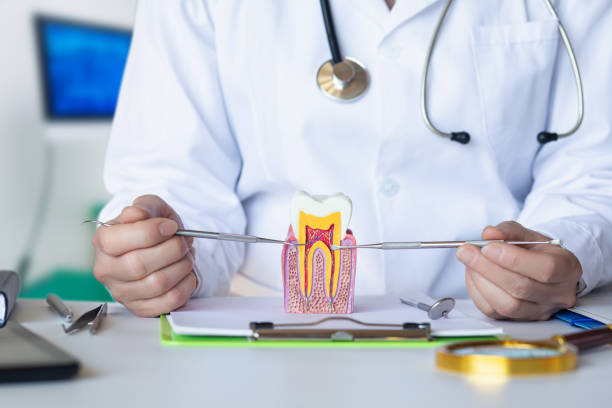 Best Emergency Cosmetic Dentistry in Diamond, IL